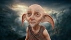 Hogwarts Legacy update to add PlayStation exclusive quest, photo mode, and more on Xbox