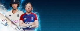 Cricket 22