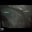 Gravemind