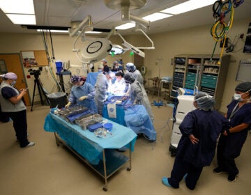 An organ recovery team works to remove the liver and kidneys from a donor June 15, 2023, in Jackson, Tenn.  (AP file photo/Mark Humphrey)
