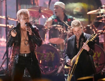 Singer Billy Idol performs at the Rock and Roll Hall of Fame
