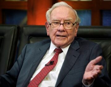 Berkshire Hathaway Chairman and CEO Warren Buffett speaks during an interview (AP Photo/Nati Harnik, File)
