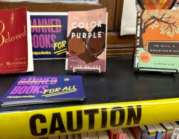 Banned Books Week display at the Mott Haven branch of the New York Public Library