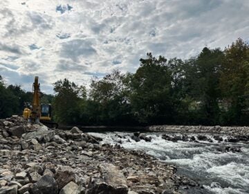 Removal of Brandywine River Dam