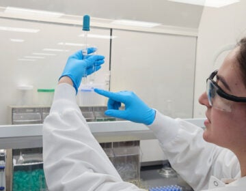 Alexis Quinter performs an extraction process