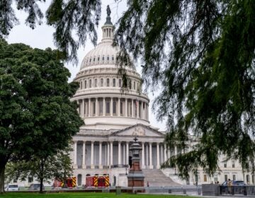 The U.S. Capitol Building