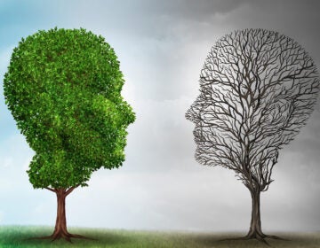 Two trees, one living and one dead facing each other