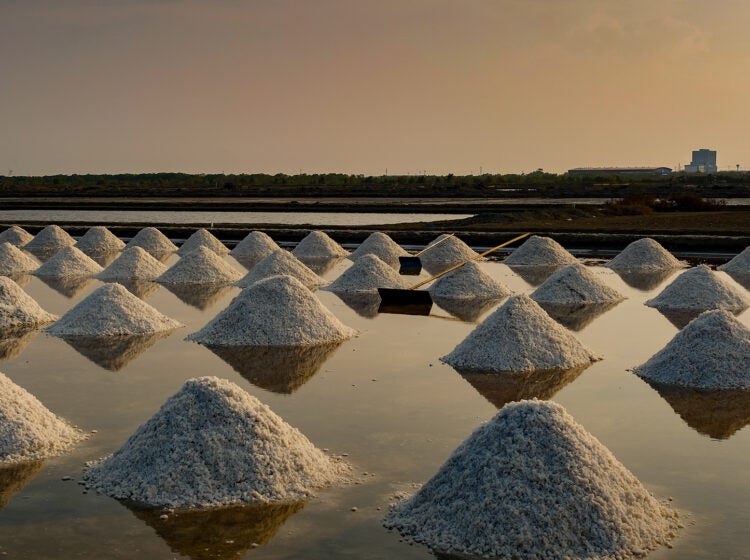piles of salt