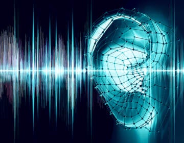 Auditory processing disorder refers to any failure along the pathway, from our ears into our brains. (carloscastilla /bigstock)
