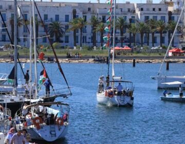 Several boats in a port