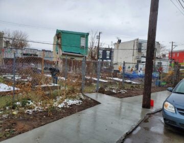 A sidewalk goes in front of a community garden