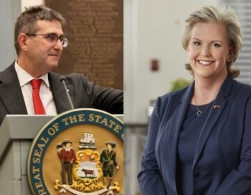 Delaware Gov. Matt Meyer is opposing the effort by Delaware U.S. Attorney Julianne Murray