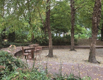 Linwood Park in Ardmore