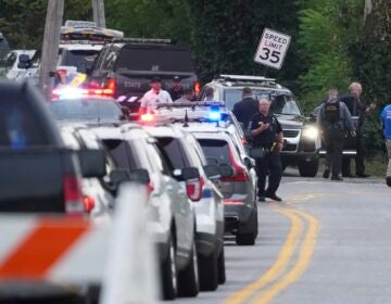 Police cars at the scene of the shooting