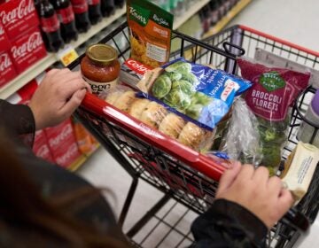 food in a shopping cart