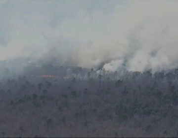Smoke billows from a wildfire in a forest