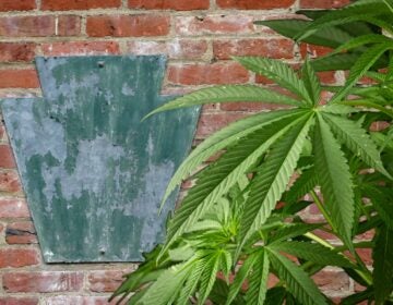 Legal recreational marijuana sales to begin in Delaware Friday. Now that New Jersey and Delaware have access, is Pennsylvania next? 